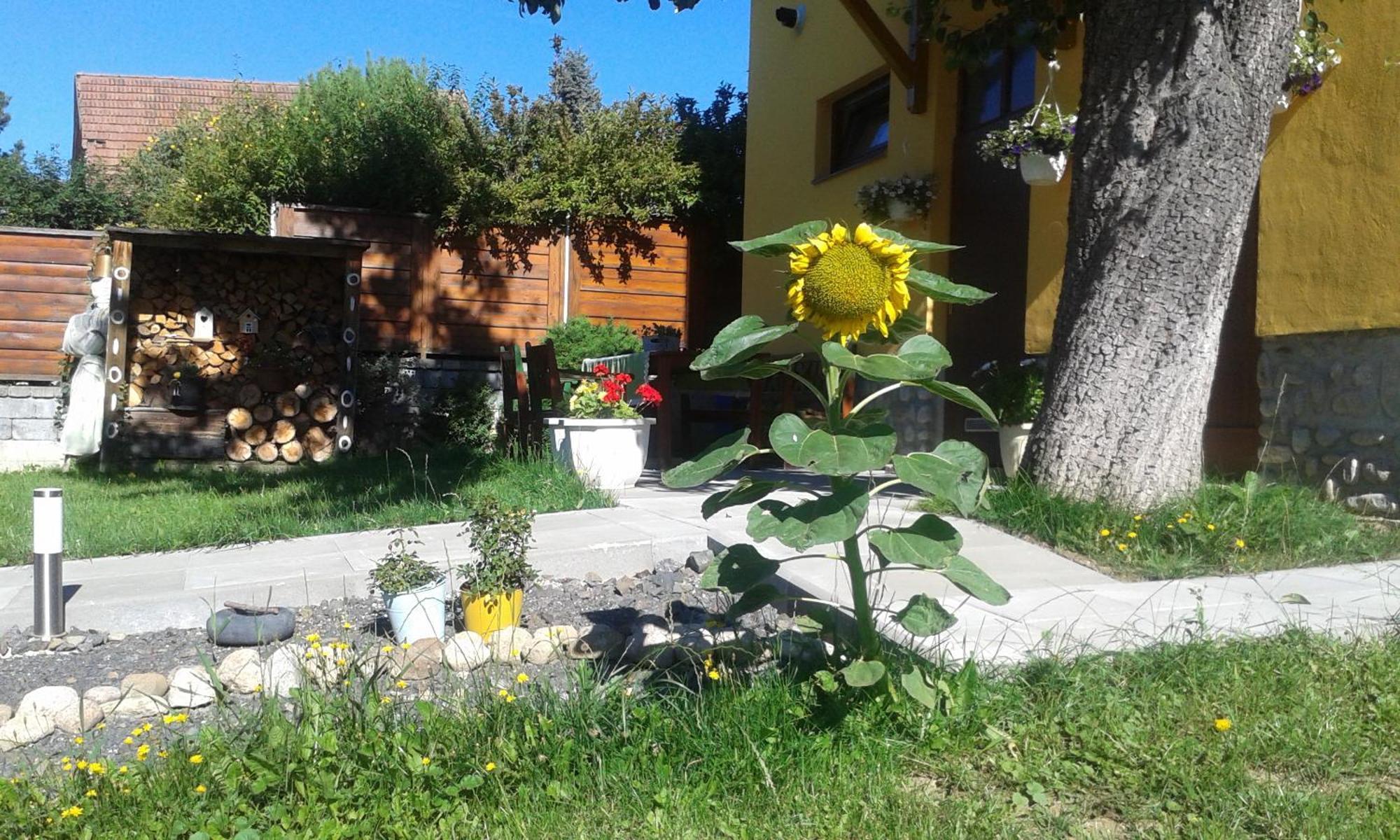 Ubytovanie Gerlachov - Anna Bajzikova Gerlachov (Poprad) Exterior foto